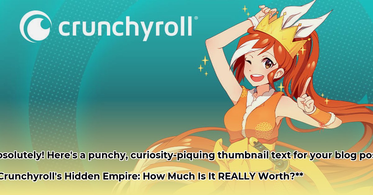 crunchyroll-net-worth